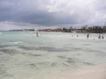 20090104umi4.JPG