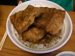 20100812fukuikatsudon3.JPG