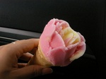 20100814icecream.JPG