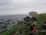 20100814nyudosaki1.JPG