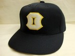 20100824baseballcap.jpg