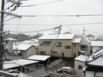 20110212yuki1.JPG