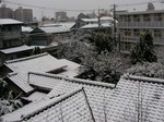 20110212yuki2.JPG