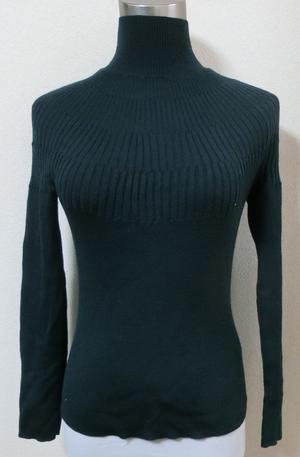 darkgrlineturtlenecksweter1.JPG