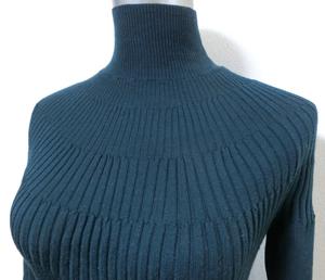 darkgrlineturtlenecksweter3.JPG