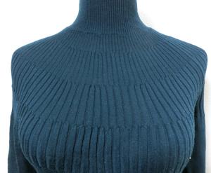 darkgrlineturtlenecksweter4.JPG