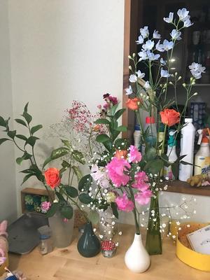 20220224flower.jpg