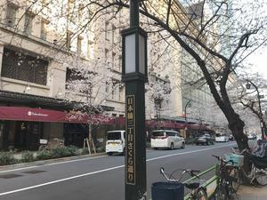 20220325_4sakura.jpg