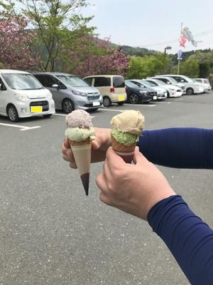 20220423_1miyama.jpg