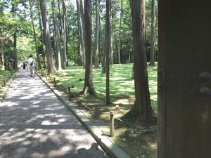 20220807_3nara.jpg