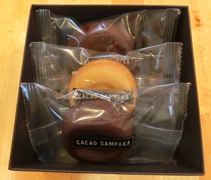 cacaosampaka2.JPG