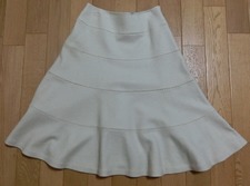 dandanorderskirt2.JPG