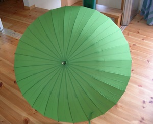 grisyokunagakasa.JPG