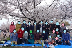 hanami170409_2.JPG