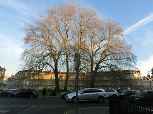 london161204_8.JPG