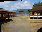 miyajima8.JPG